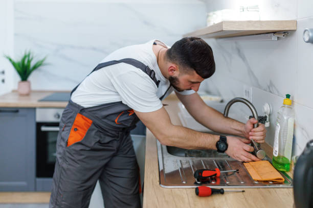 Best Plumbing Repair Near Me  in Barry, IL